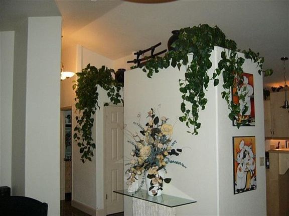 Hallway, back of open kitchen