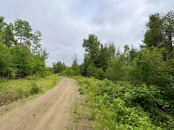 Lot 11 Mt. Jefferson Heights, Lee, ME 04455
