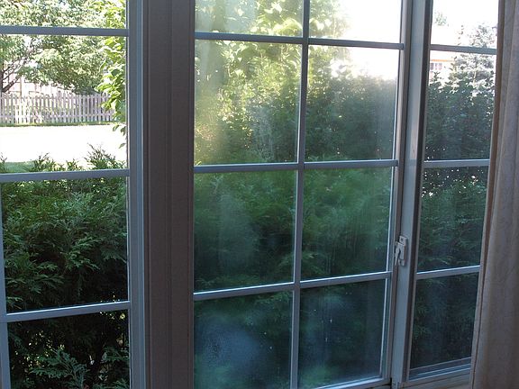 Damaged Storm Windows