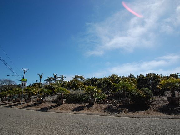 2nd image of 650 Concho Loma Dr