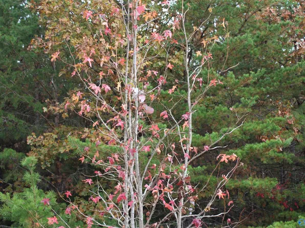 LOT 3 Hillside Dr NW, Fort Payne, AL 35968