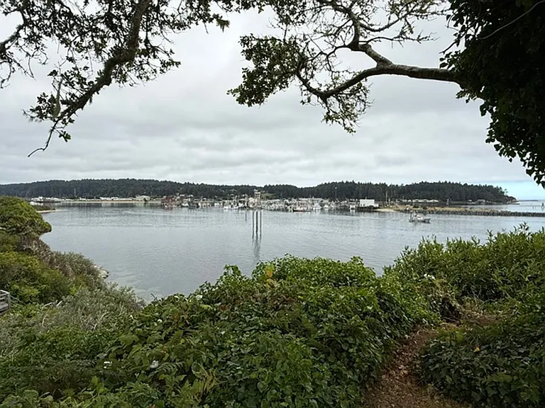 91251 Cape Arago Hwy — Photo 51