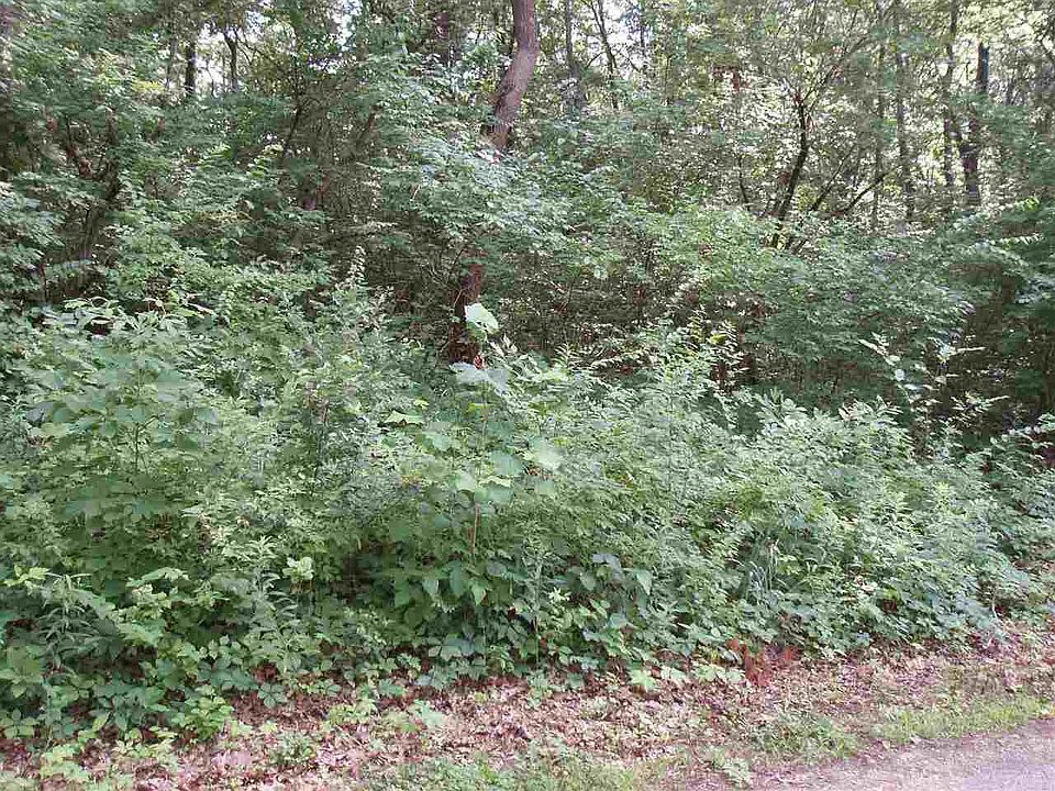 2nd image of 1199 S Sharon Chapel Rd