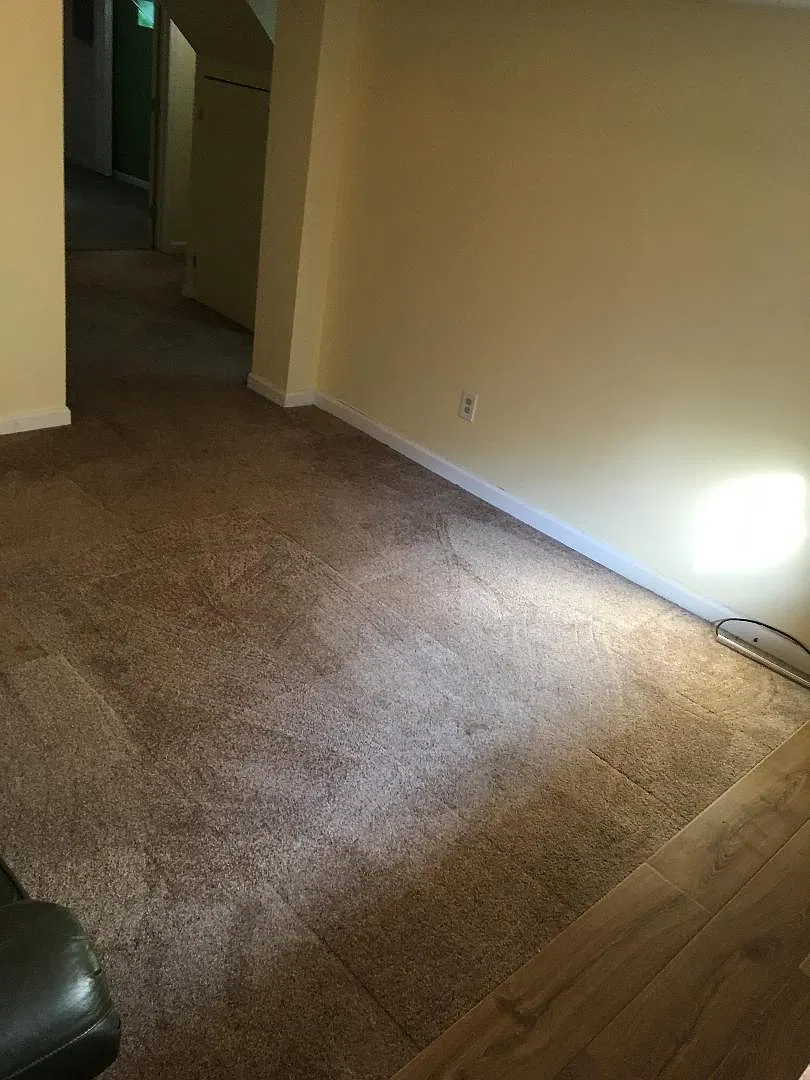 2 bed, 1004 sqft, $1,500 — Photo 2
