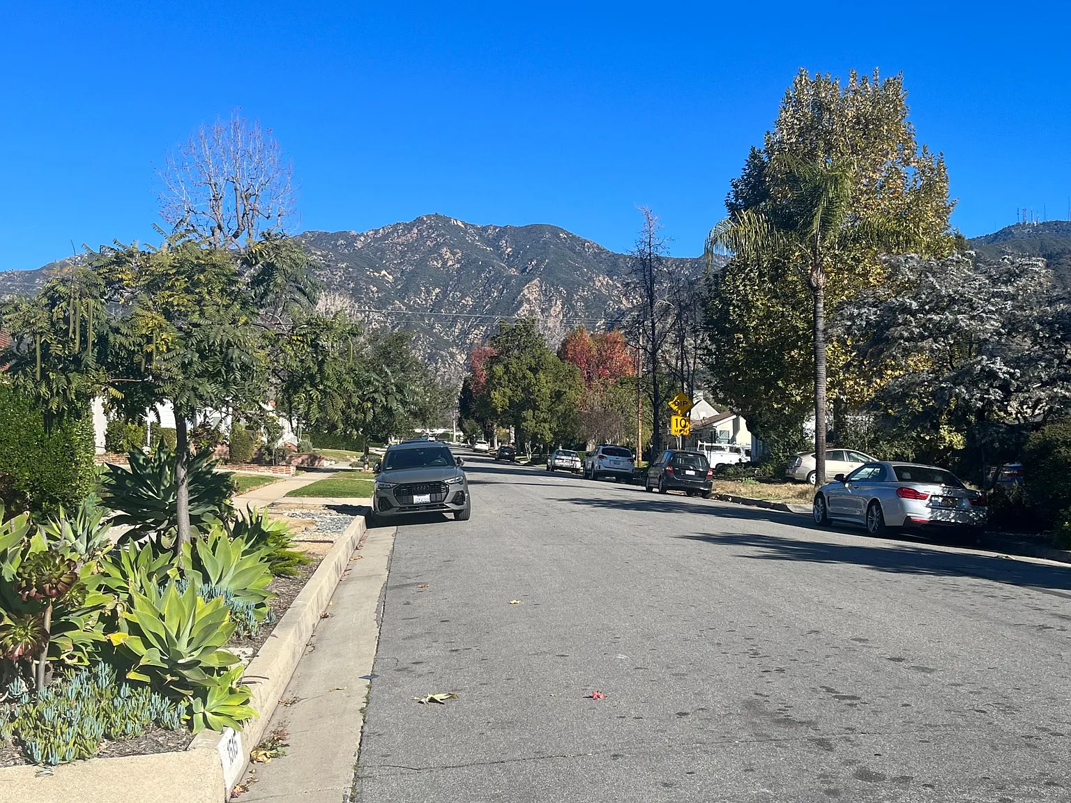 2 bed, 1250 sqft, $4,195 — Photo 3