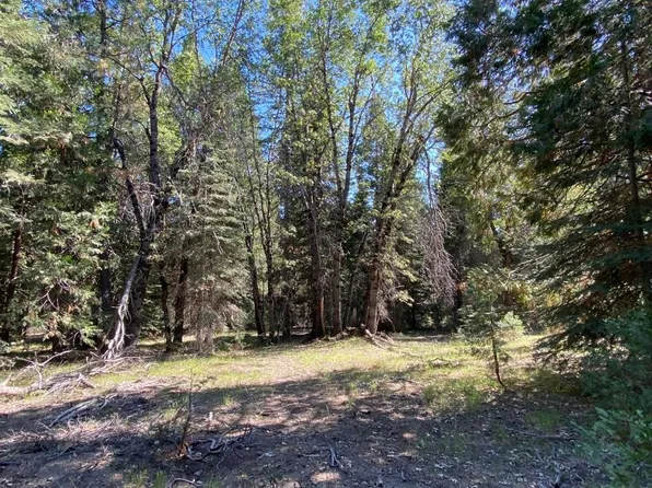 1 Mount Shasta Dr #C, McCloud, CA 96057