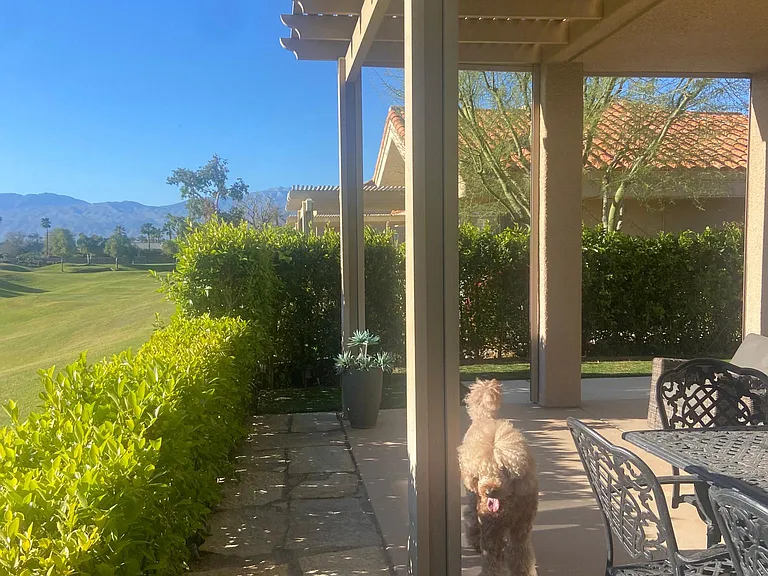 We are pet friendly. The neighborhood is such a beautiful and peaceful place to walk your furry friends.