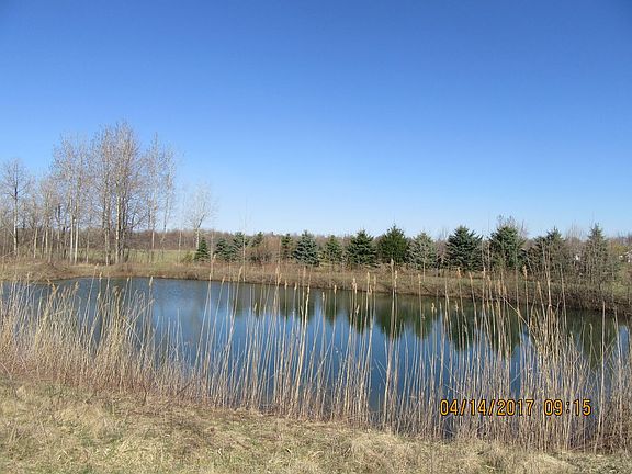 Pond south side.