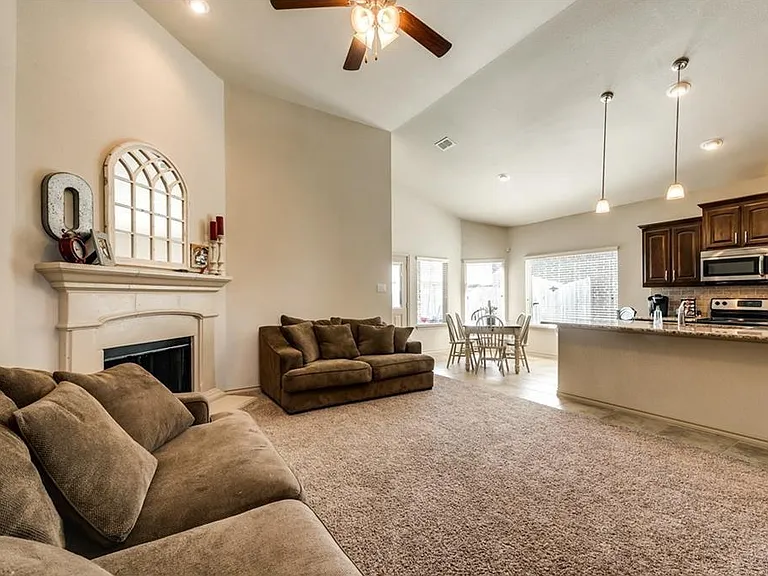 313 Delgany Trl — Photo 9
