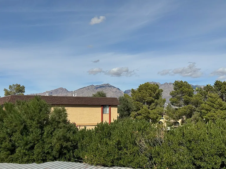 2194 N Pantano Rd #245 — Photo 13