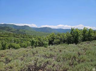 155 N Wolf Hollow Rd E, Fairview, UT 84629