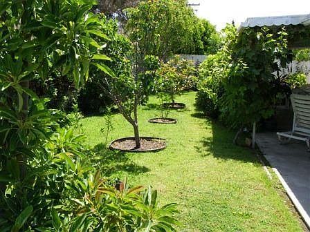 Backyard Orchard
