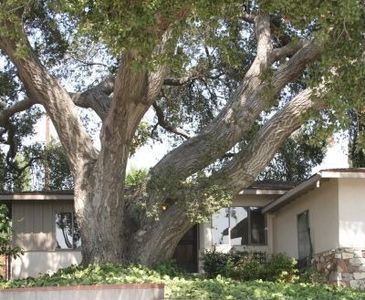 8425 Forsythe St, Sunland, CA, 91040