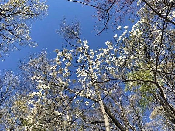 FBADD71D-4A06-4F11-99F1-13CFBD65E916