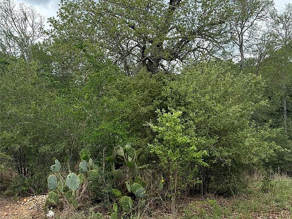 2nd image of 70 Kaelepulu Dr