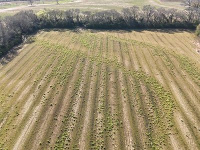 LOT 1 Gilley Mill Rd, Headland, AL, 36345