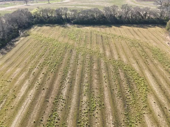 LOT 1 Gilley Mill Rd, Headland, AL 36345