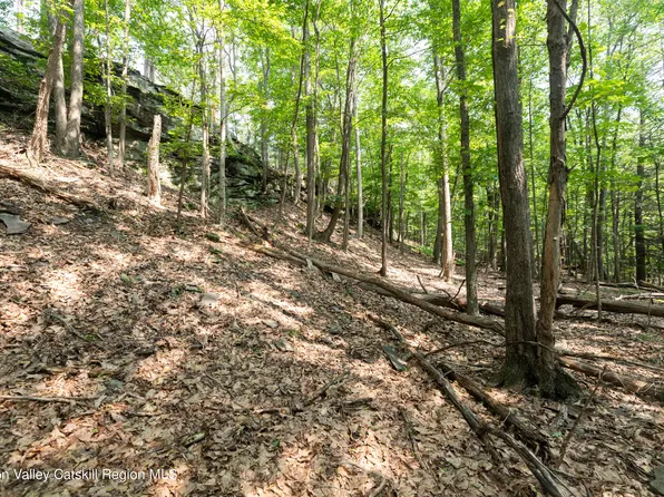 0 Mossy Trail, Saugerties, NY 12477