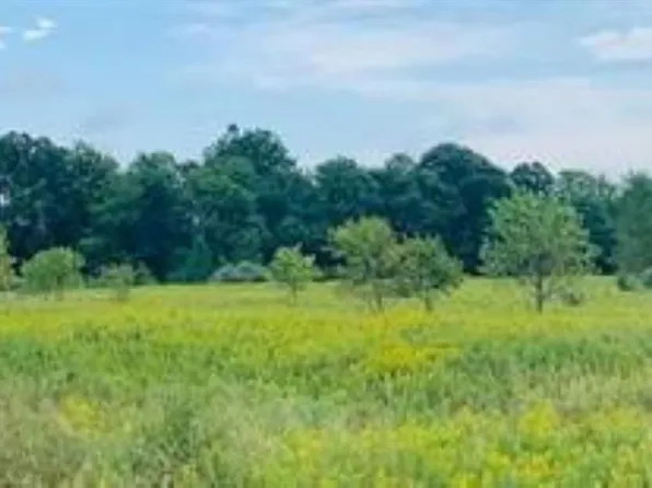 0 N Herrington Rd, Webberville, MI 48892