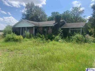 1728 N Governor Williams Hwy, Darlington, SC 29540