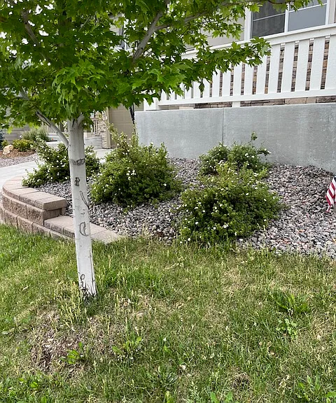 3567 White Rose Loop — Photo 23