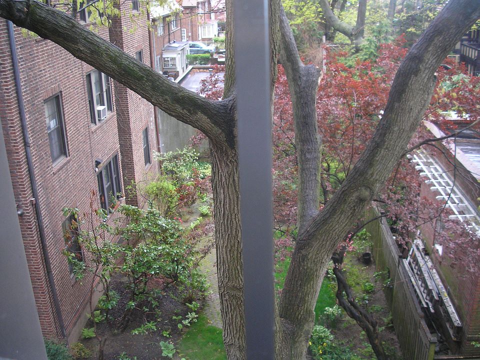 1st image of 1 Ascan Ave #3FL