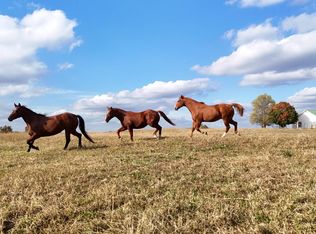 1768 Cutoff Rd, Clinton, AR 72031