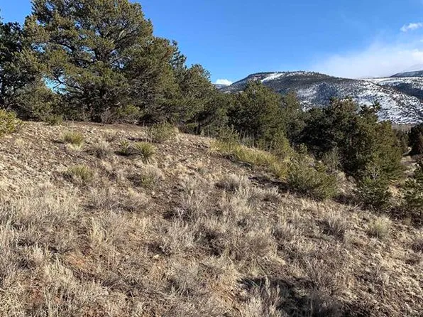 546 Kit Carson Road, South Fork, CO 81154