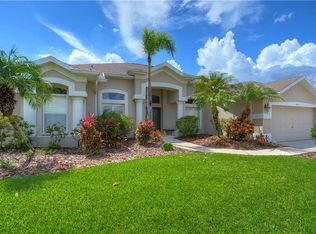 2911 Mossy Timber Trl, Valrico, FL 33596