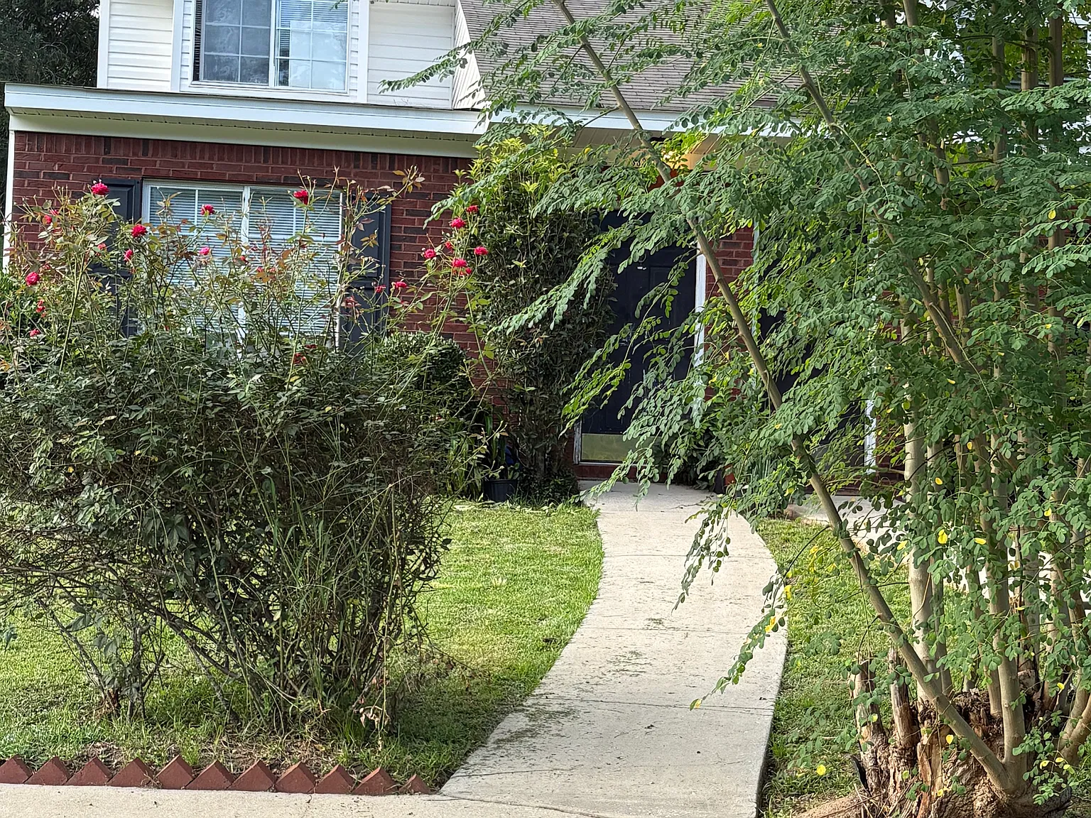 3 bed, 1233 sqft, $720 — Photo 3