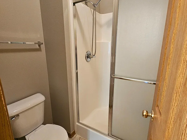 Master bathroom toilet and shower room