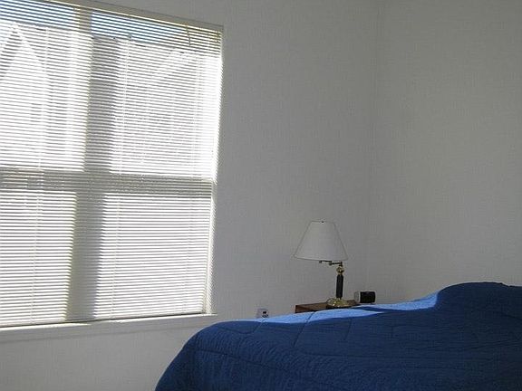 Master Bestroom vaulted ceiling