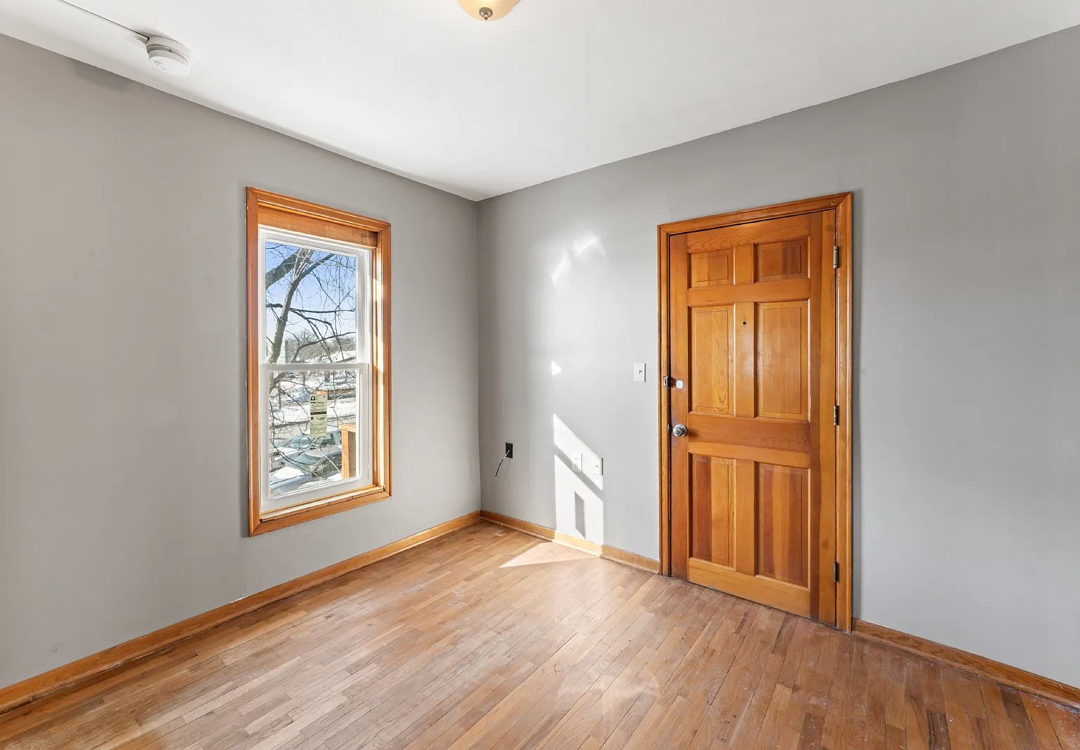 1 bed, 1.0 bath, 550 sqft, $800 — Photo 3