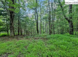 LOT 73 Buckland Rd, Grassy Creek, NC 28631