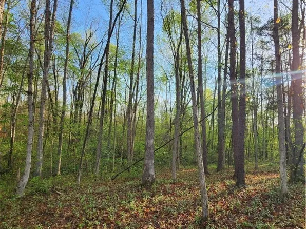 0 Carter Rd, Cumberland, VA 23040