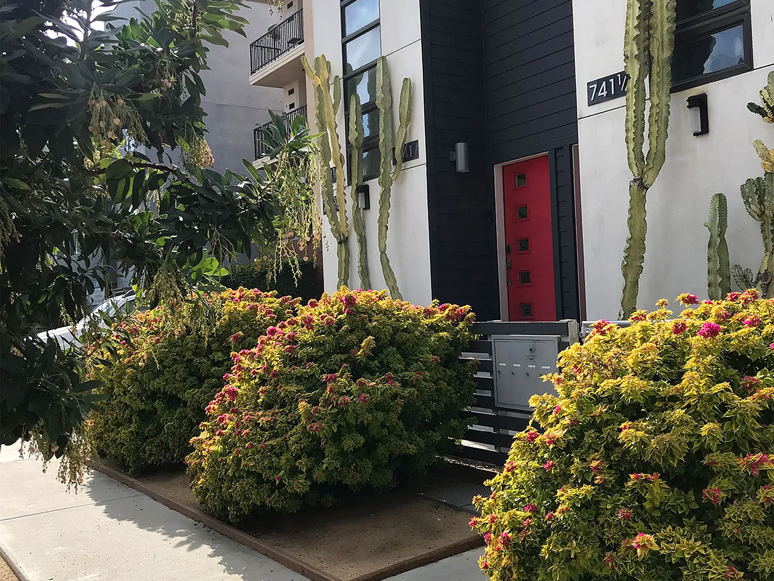 2 bed, 2.5 bath, 1254 sqft, $4,375 — Photo 4