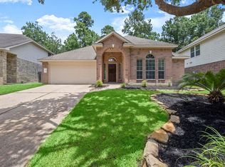 6 Bushell Mill Pl, The Woodlands, TX 77382