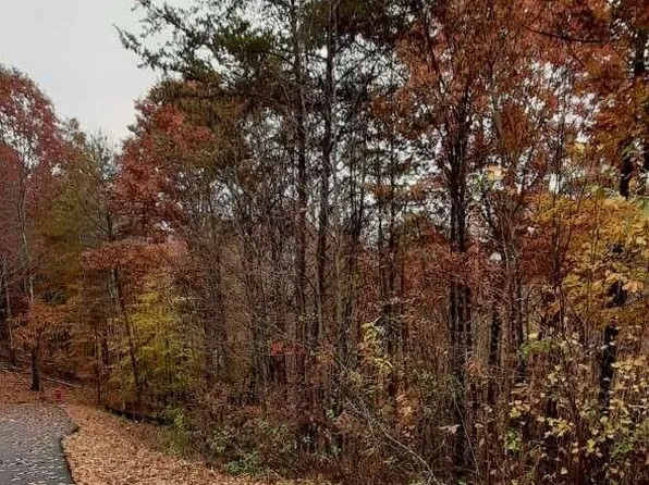 0 Owen Glen Dr #177, Blairsville, GA 30512