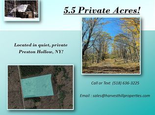 348 Roney Rd, Preston Hollow, NY 12469