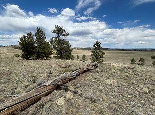 591 Singletree Court LOT 805, Hartsel, CO 80449
