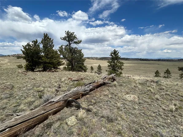 591 Singletree Court LOT 805, Hartsel, CO 80449