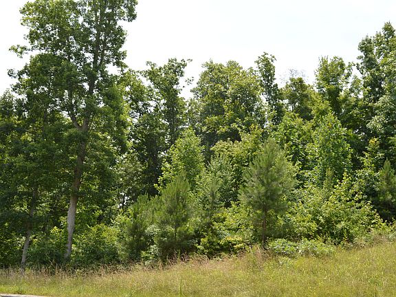 3rd image of LOT 41 Greystone Ln SE