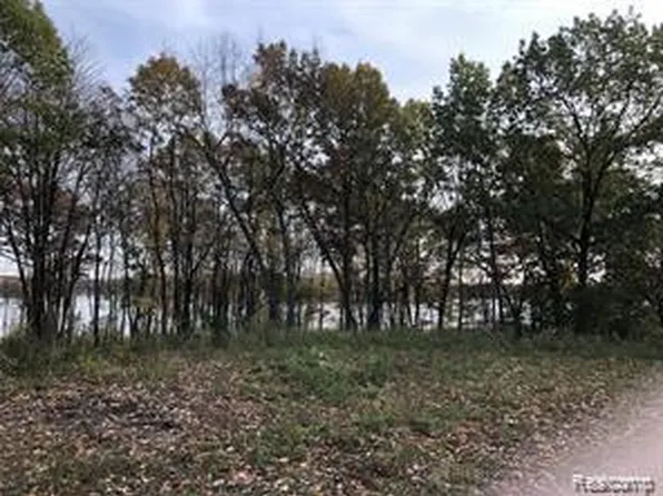 11699 Big Lake Rd, Davisburg, MI 48350
