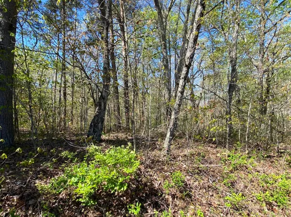 0 Hendon Rd, Soddy Daisy, TN 37379