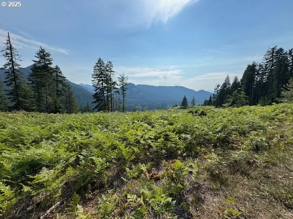 1281 Szydlo Rd, Carson, WA 98610