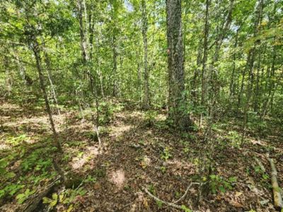 1622AC Glenobey Rd, Jamestown, TN, 38556