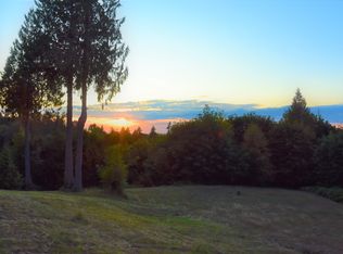 26530 SE Black Nugget Rd, Issaquah, WA 98029