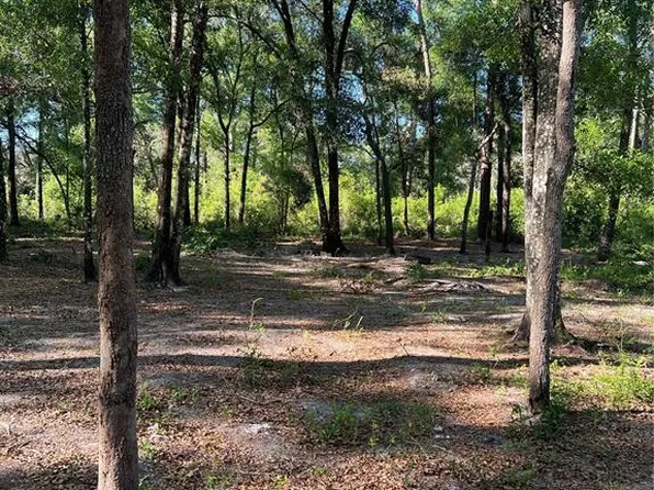 SW 118TH LANE 0, WEBSTER, FL 33597