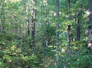 Tbd Peshekee Grade, Michigamme, MI 49861