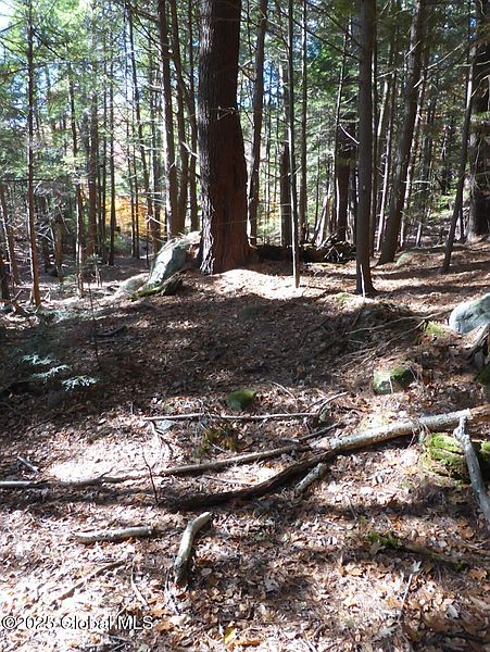 5th image of 487 Antone Mountain Road